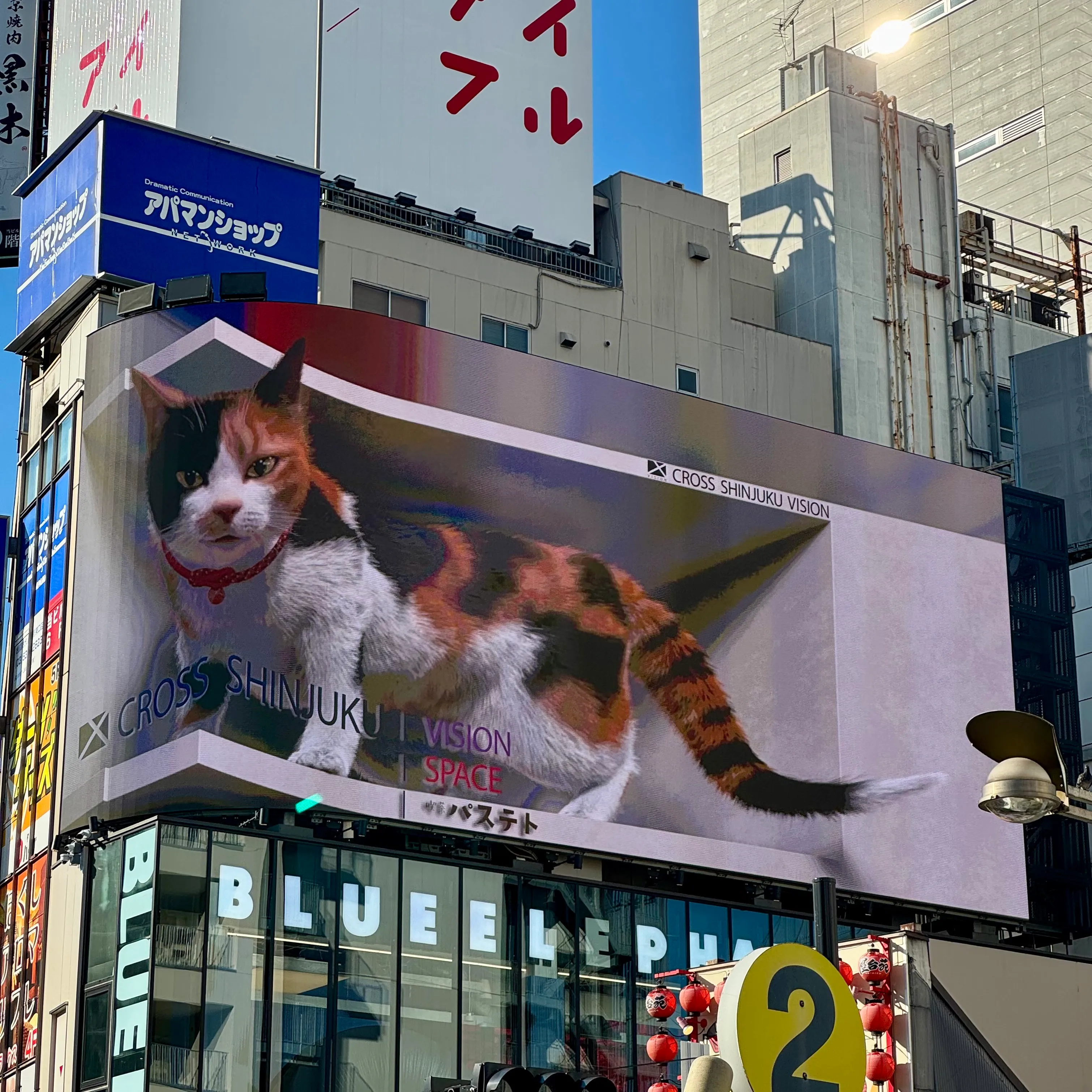 3D Cat