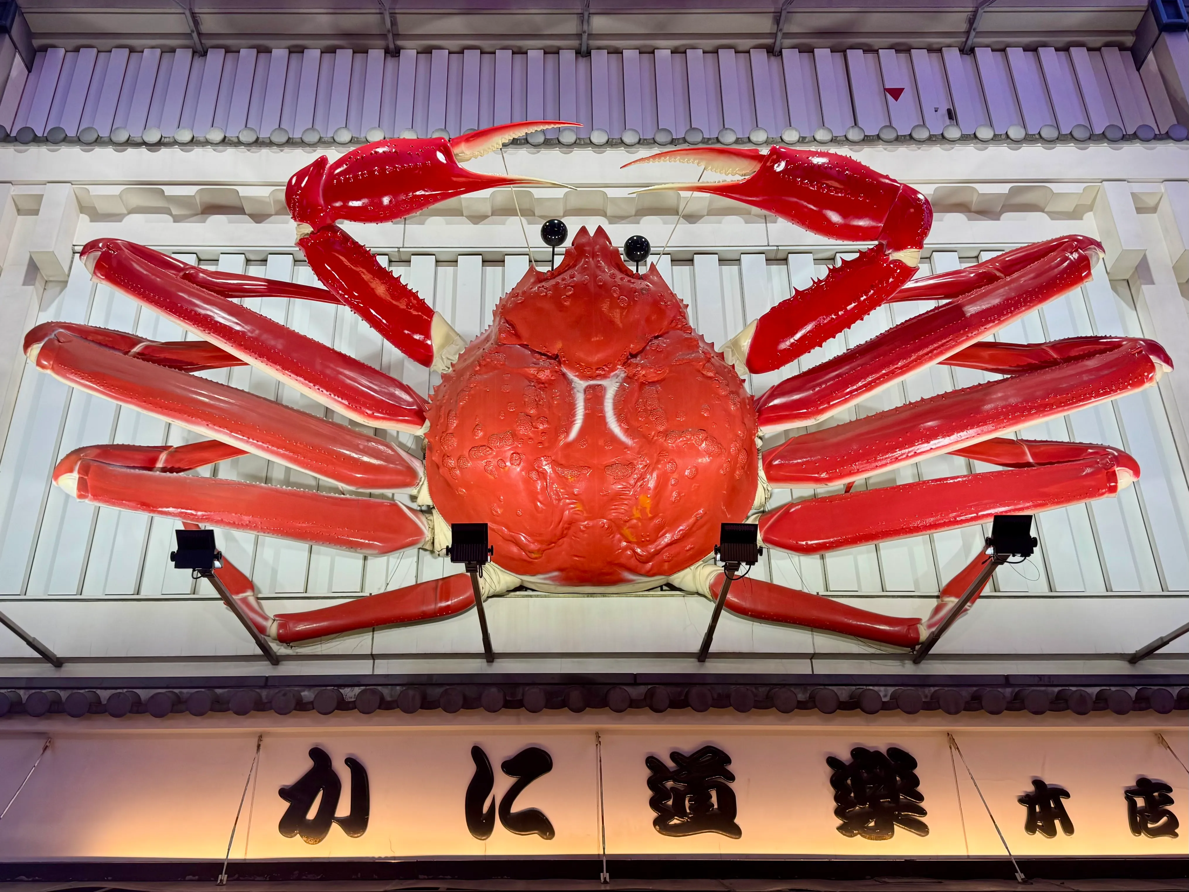 DotonboriKrabbe