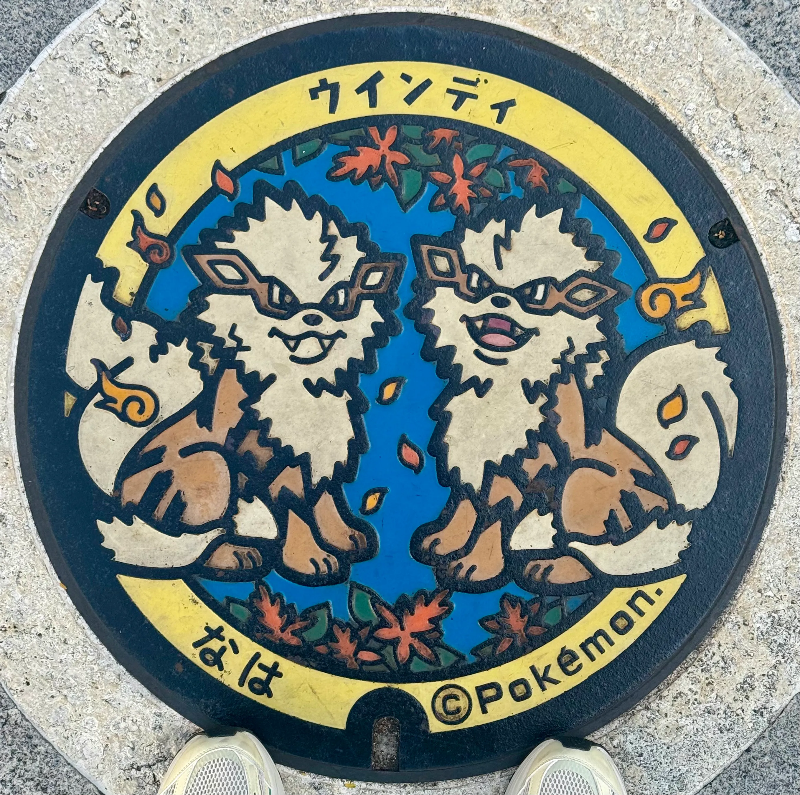 PokemonDeckelArkani