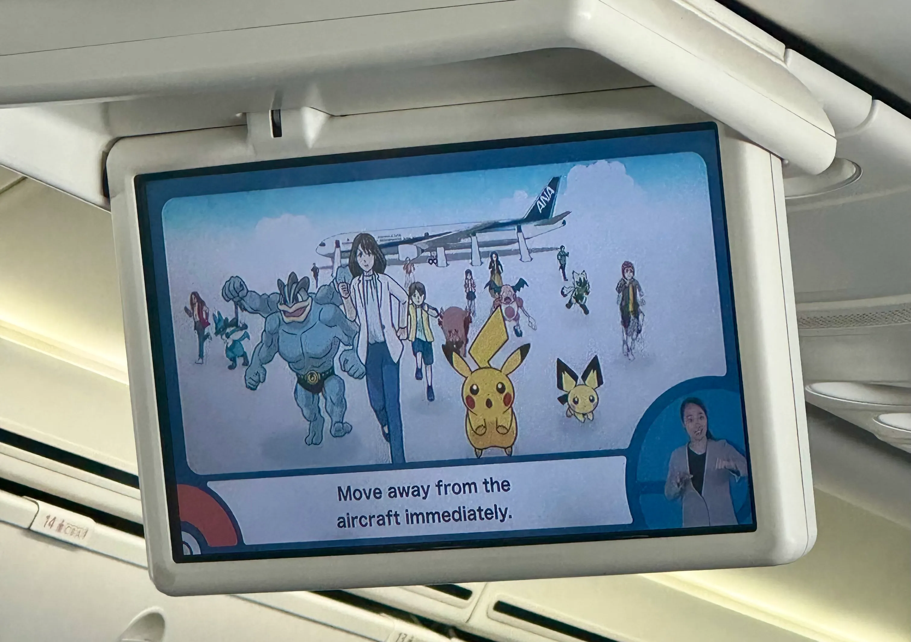 PokemonImFlugzeug