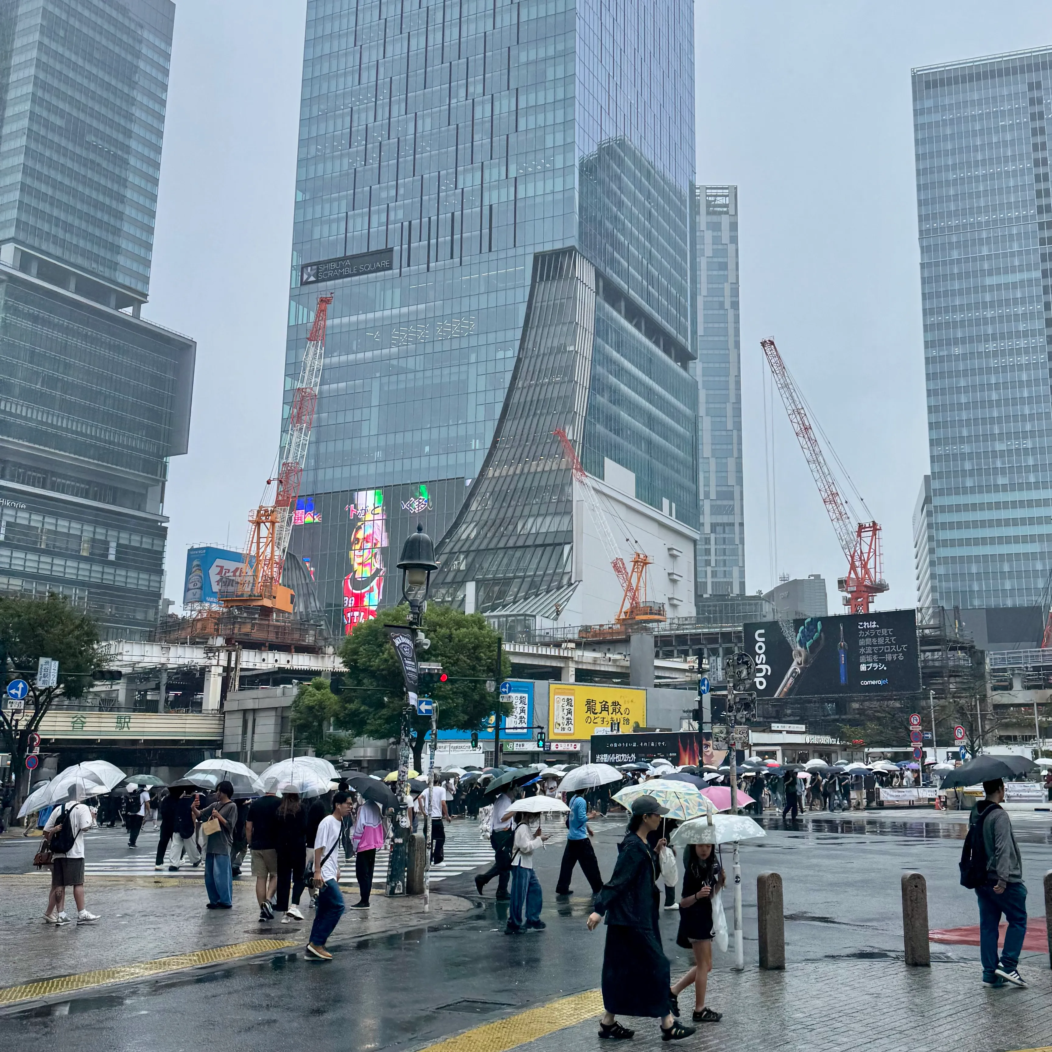 Shibuya Crossing