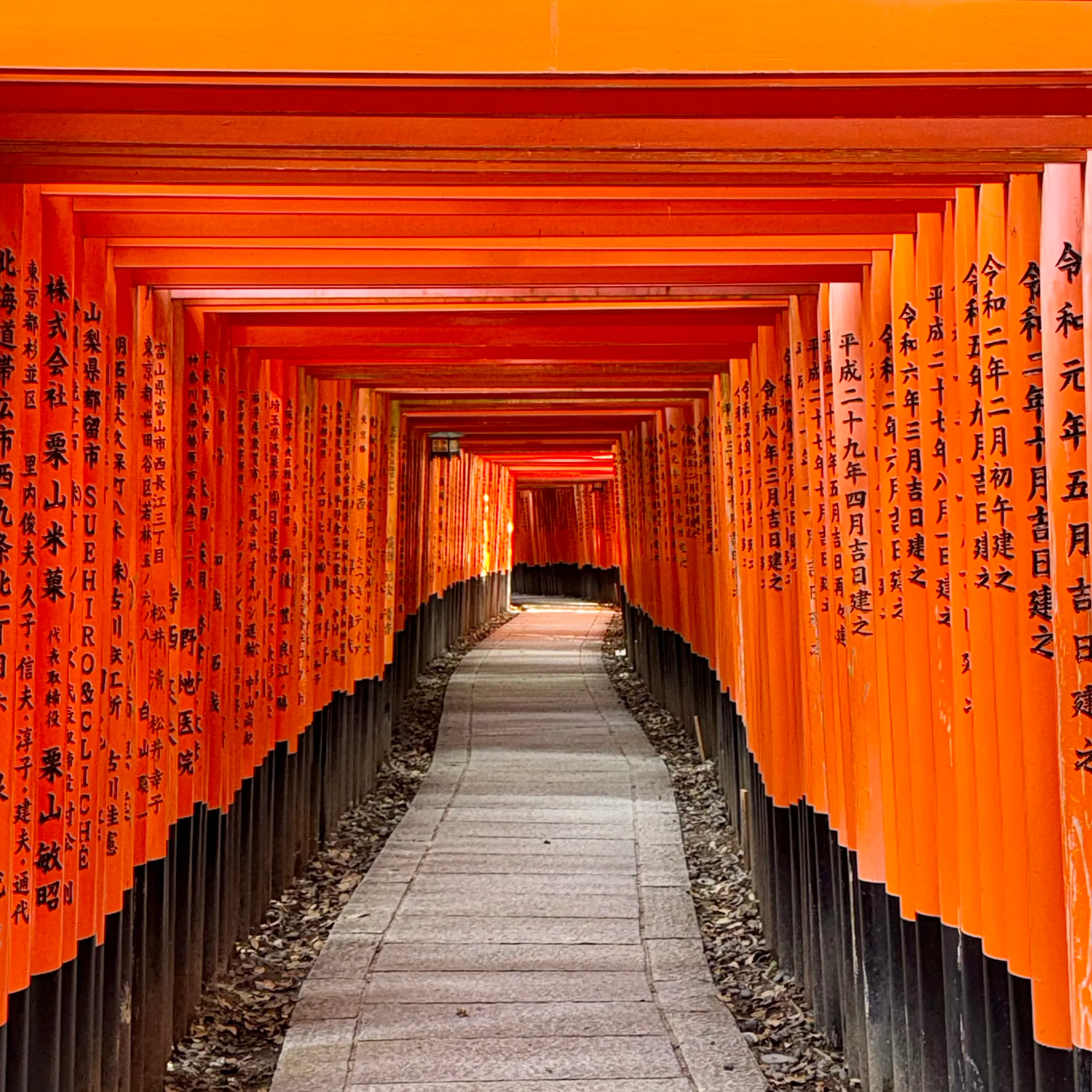 Torii Tunnel