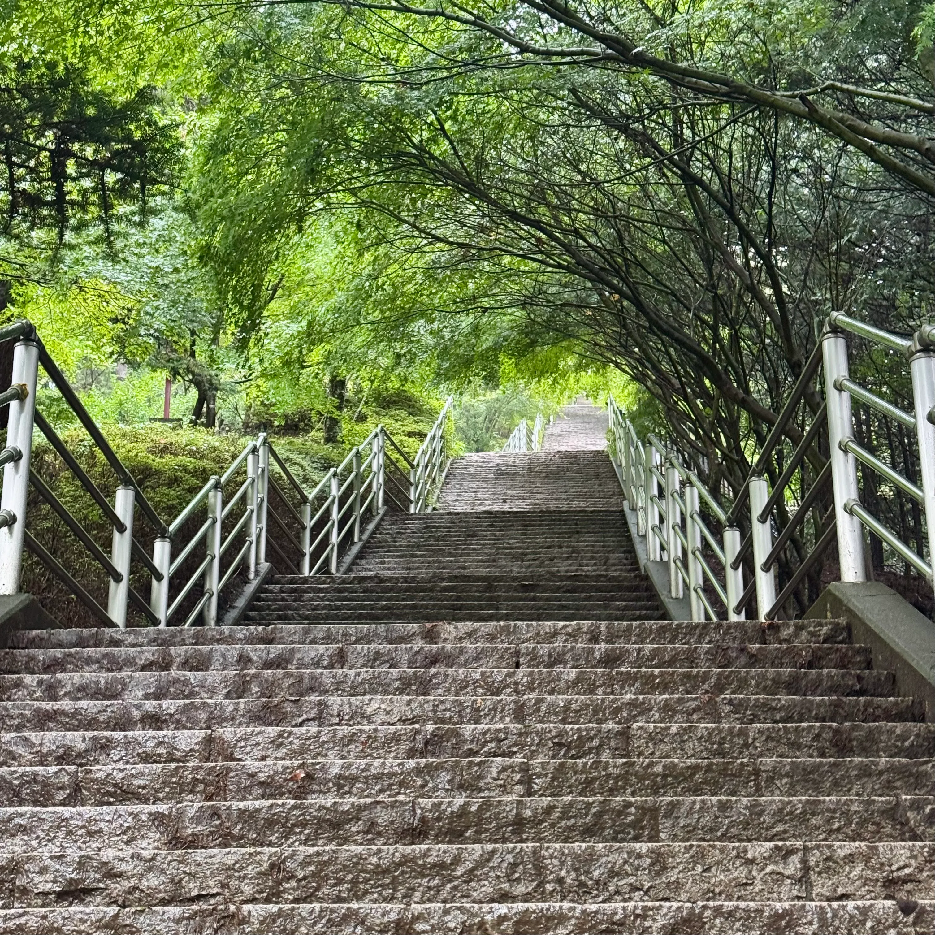 Treppen