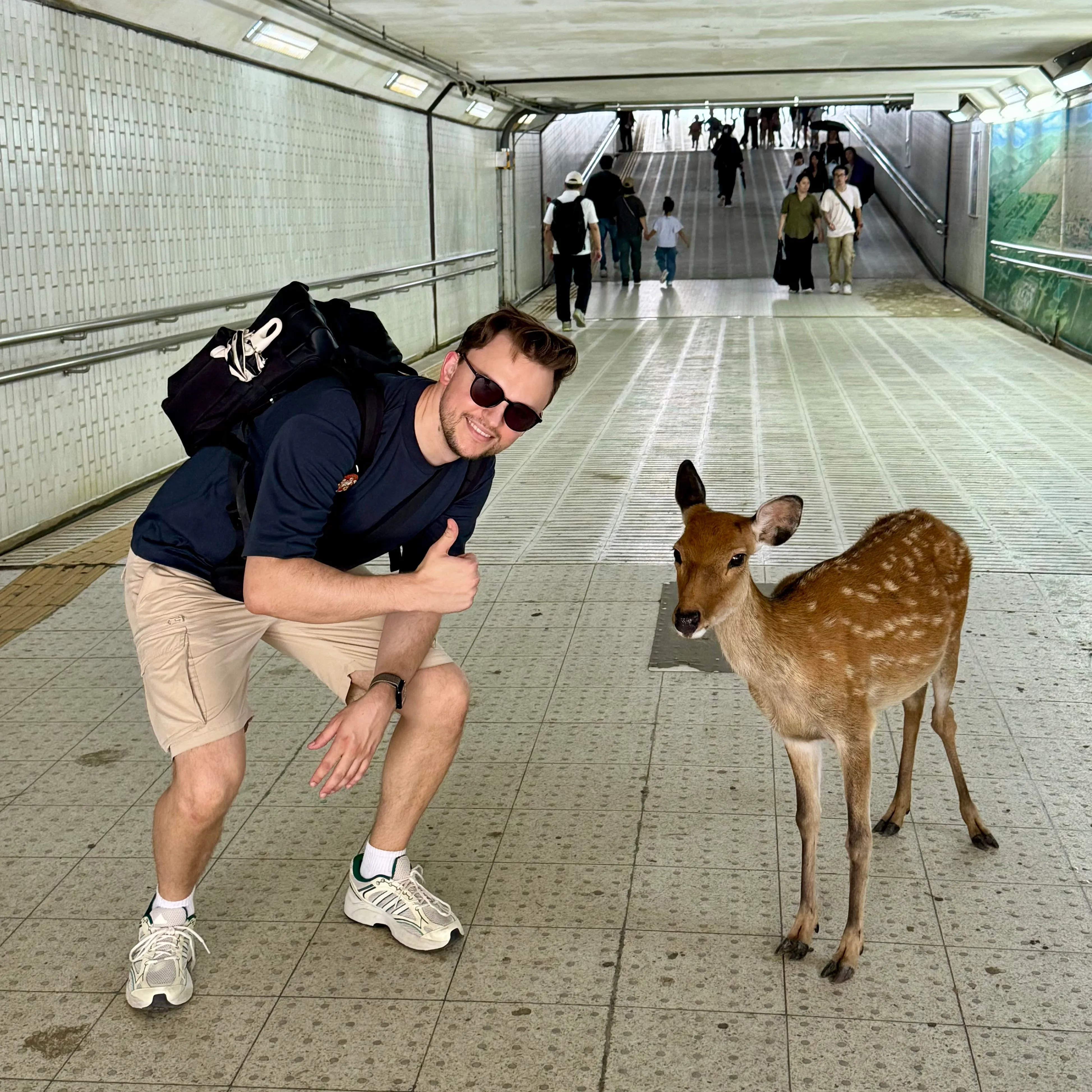U-Bahn Reh